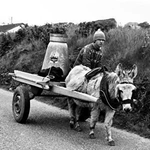No Change Here... except for the wheels. Donkey and trap, with wheels converted
