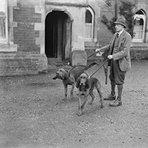 Dog detectives. Man hunting trials at Savernake. Colonel Johnson with his bloodhounds