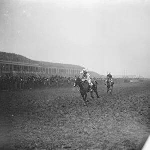 The Grand National. The finish of the race, showing the winner, Master Robert