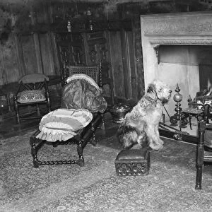 The interior of the Wheeler house in Farningham, Kent. 1936
