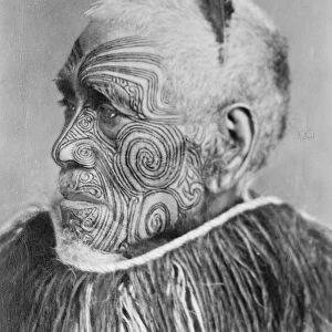 A living oil painting. A remarkable study from New Zealand. To meet a Maori so