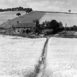 Print of Two Girls Walking in a Barley Field, Kent, England Print of Two Girls Walking in a Barley Field, Kent, England