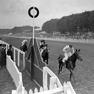 Perifox winning the Gordon Stakes at Goodwood Racecourse, Sussex, England
