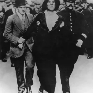 Suffragette Protest at Buckingham Palace Print May 1914 Suffragette Protest at Buckingham Palace Print May 1914