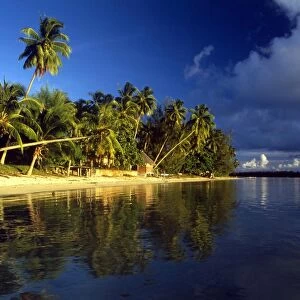 TROPICAL ISLANDS French Polynesia. Beach scene on Morea, off Tahiti