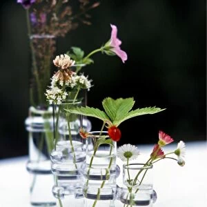 Wildflowers in glass vases credit: Marie-Louise Avery / thePictureKitchen / TopFoto
