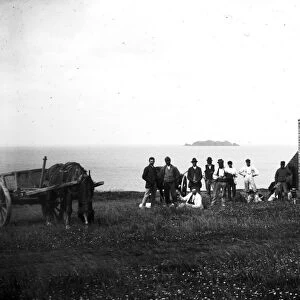 Farm workers, St Merryn, Cornwall. Early 1900s
