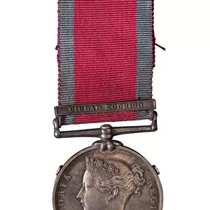 Museum Objects Fine Art Print Collection: Medals