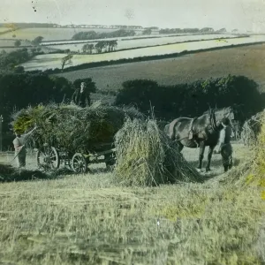 : Agriculture