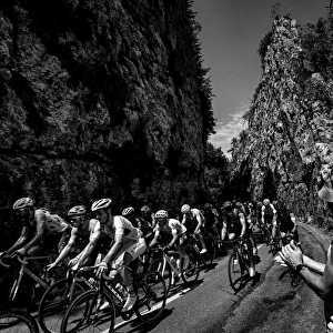 Cycling-Fra-Tdf2017-Pack-Fans-Black and White