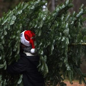 Germany-Bavaria-Christmas-Tree-Feature