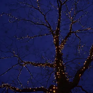 Germany-Christmas-Decorations