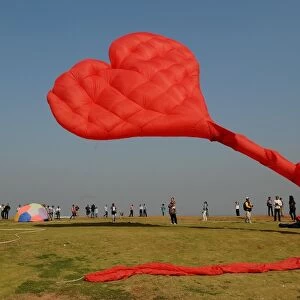 India-Culture-Festival-Kites