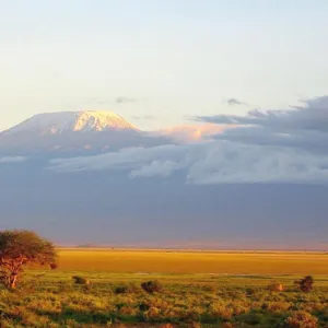 Tanzania Heritage Sites Tote Bag Collection: Kilimanjaro National Park