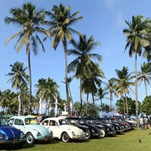 Classic cars and vehicles Jigsaw Puzzle Collection: VW