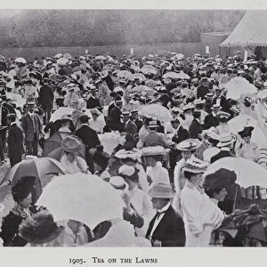 1905, Tea on the Lawns (b / w photo)