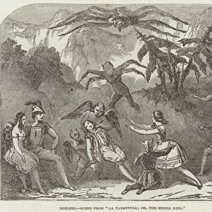 Adelphi, Scene from "La Tarantula;or, The Spider King"(engraving)