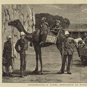 Afghanistan, a Camel Ambulance at Kurrum (engraving)