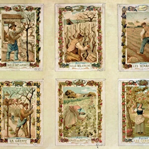 Agricultural calendar depicting the various seasons of farming