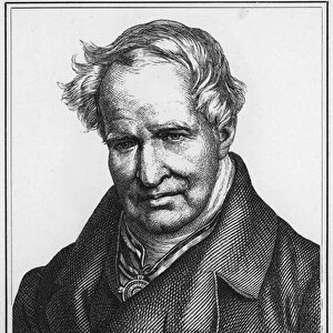 Alexander von Humboldt (engraving)