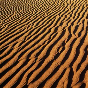 Algeria Fine Art Print Collection: Lakes