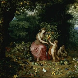 Allegory of Abundance (oil on panel) (for detail see 124327)