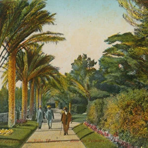 Alley of the Palms, gardens of the Villa Eilenroc, Cap d Antibes, France. Postcard sent in 1913