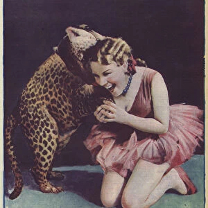 American actress and film star Bernice Claire submitting herself to the attentions of a leopard in a Los Angeles circus as part of a bet with another actress who did not believe she had the courage to do it (photo)