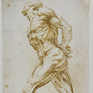 Anatomical study: A nude striding to the right, his hands behind his back (black chalk