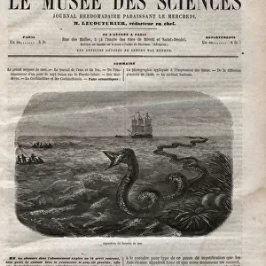 Appearance of the sea snake. Engraving from 1858. One of the "