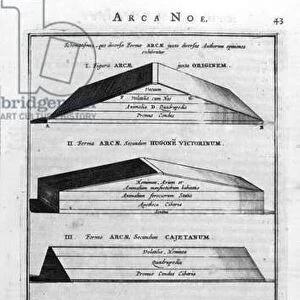 Arca Noe, (building the ark), 1675 (engraving)