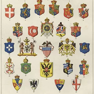 The arms of all nations (colour litho)