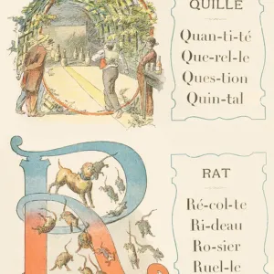 Q A: Kel, Rat