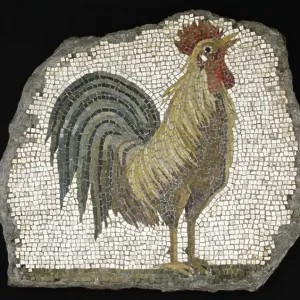 Fine Art Finder Print: Roman Mosaic Cockerel, 1st century BC Fine Art Finder Print: Roman Mosaic Cockerel, 1st century BC