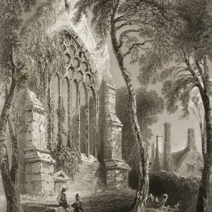 Abbazia di Youghal, Contea di Cork, Irlanda, da Scenery and Antiquities of Ireland.
