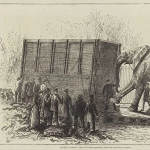 Attempt to Remove Jumbo, the Great Elephant, from the Zoological Gardens (litho)