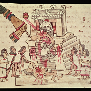 B. R. 232 fol. 70r A human sacrifice from the Codex Magliabechiano (vellum)