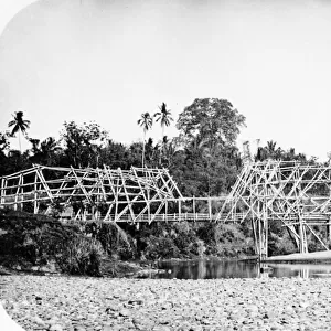 Bamboo Suspension Bridge, Java c. 1870s (b / w photo)