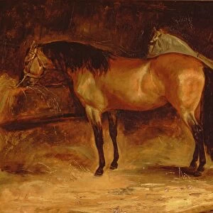 A Bay Horse at a manger, with a grey horse in a rug