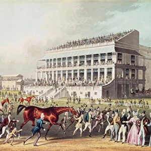 Bay Middleton, Winner of the Derby, 1836