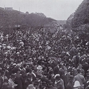 The betting ring at Flemington, Melbourne Cup Day (b / w photo)