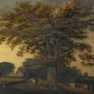 The Binley Oak, 1848 (oil on canvas)