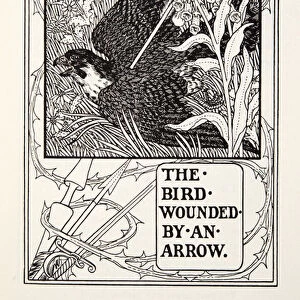 The Bird Wounded by an Arrow, from Fontaine Fables, pub. 1905 (engraving)