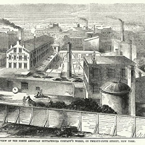 Birds Eye View of the North American Guttapercha Companys Works, on Twenty-Fifth Street, New York (engraving)