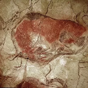 Bison at rest. Upper Paleoloithic (Magdalenian) (rock painting)