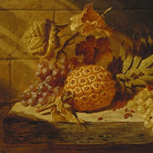 Black and White Grapes, Pears, Redcurrants and a Pineapple on a Ledge