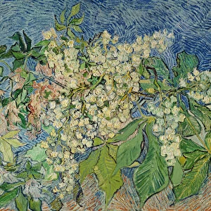 Blossoming Chestnut Branches, 1890 (oil on canvas)