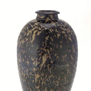 Bottle with tortoiseshell glaze, Jiangxi province, 13th-14th century (ceramic)