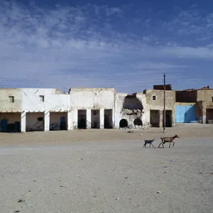 Algeria Fine Art Print Collection: Touggourt