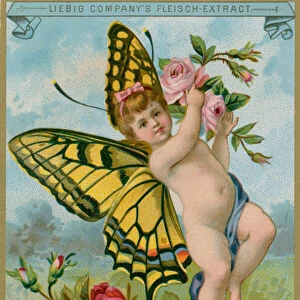 Butterfly Cherub with Red Roses (chromolitho)